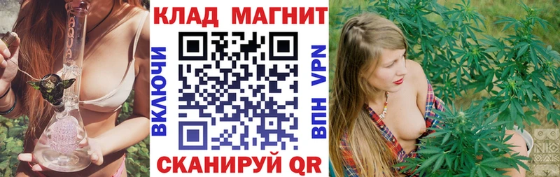 Какие есть наркотики Сурск hydra   Мефедрон  MDMA  Канабис  Alpha-PVP  Cocaine 