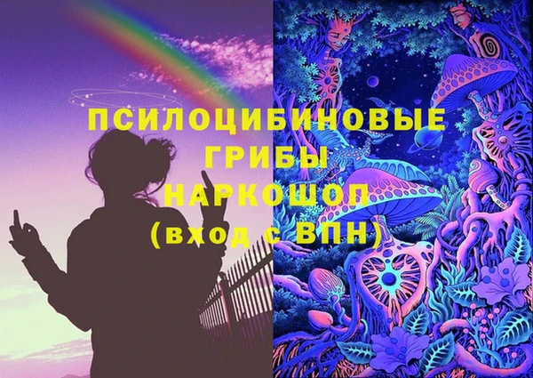 МДПВ Алзамай