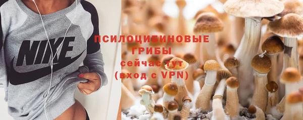 apvp Абаза
