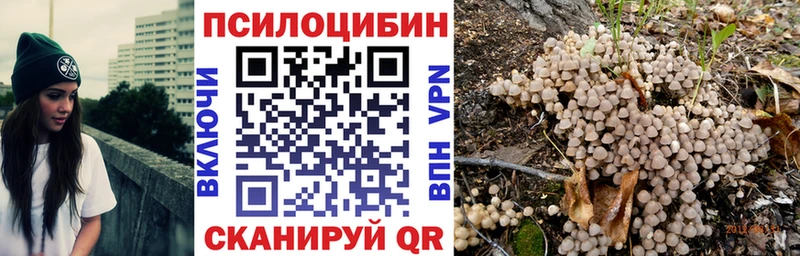 Псилоцибиновые грибы Psilocybe  Сурск 